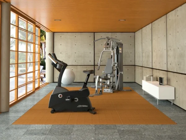 Life Fitness G4 Fixed Motion Home Gym (G4)
