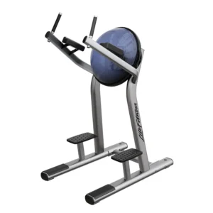 Life Fitness Signature Series Leg Raise (SLR)
