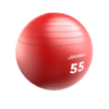 Stability-Ball-55cm_1000-x-1000 Life Fitness Stability Balls (LF-SB)