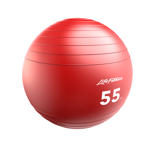 Stability-Ball-55cm_1000-x-1000 Life Fitness Stability Balls (LF-SB)