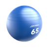Stability-Ball-65cm_1000-x-1000 Life Fitness Stability Balls (LF-SB)
