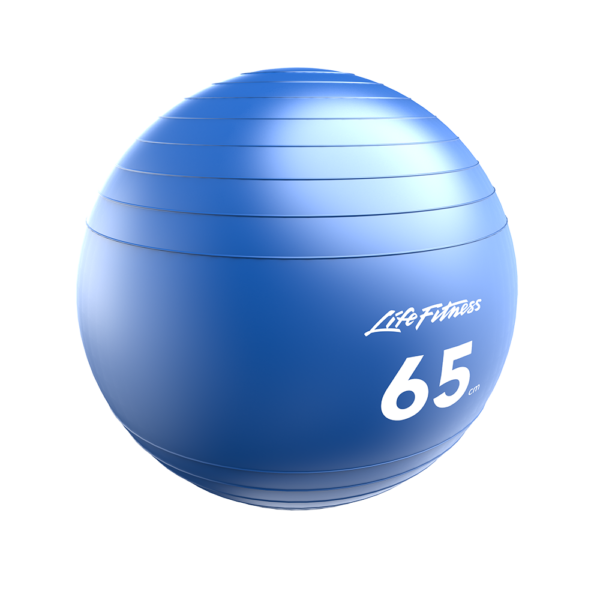 Stability-Ball-65cm_1000-x-1000 Life Fitness Stability Balls (LF-SB)