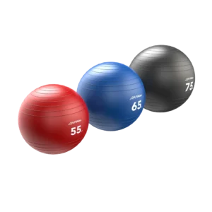 Life Fitness Stability Balls (LF-SB)