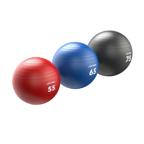 Stability-Ball-Group-Shot_1000-x-1000 Life Fitness Stability Balls (LF-SB)